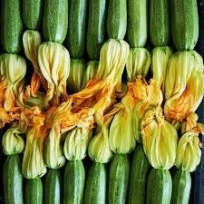 Le nostre verdure certificate biologiche. - AGRITURISMO HERMIONE
